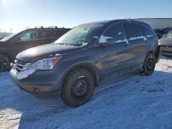 Vehiculos salvage en venta de Copart Rocky View County, AB: 2011 Honda CR-V EX