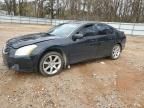 2007 Nissan Maxima SE