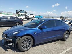 Salvage cars for sale from Copart Van Nuys, CA: 2023 Tesla Model 3