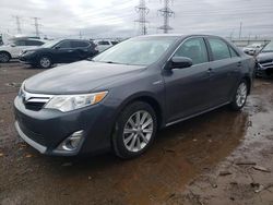 Toyota Camry Hybrid salvage cars for sale: 2014 Toyota Camry Hybrid