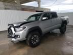 2023 Toyota Tacoma Double Cab