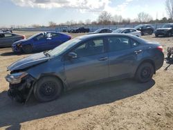 Salvage cars for sale at London, ON auction: 2014 Toyota Corolla L