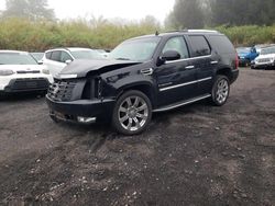 Salvage cars for sale at Kapolei, HI auction: 2008 Cadillac Escalade Luxury