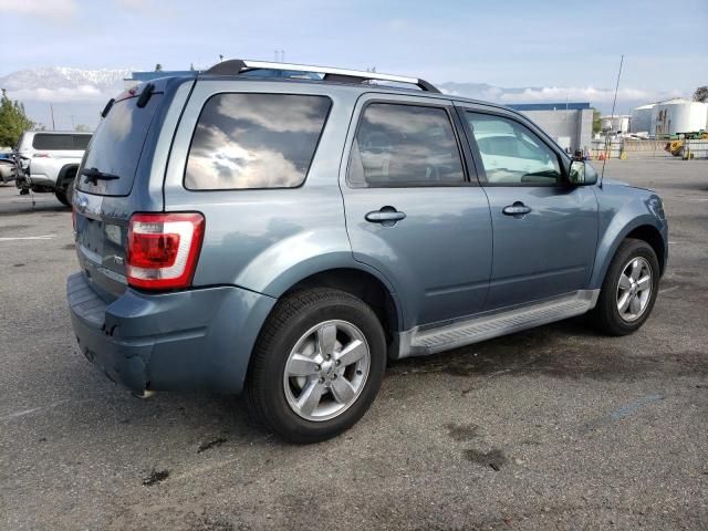 2010 Ford Escape Limited