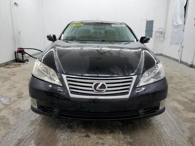 2010 Lexus ES 350