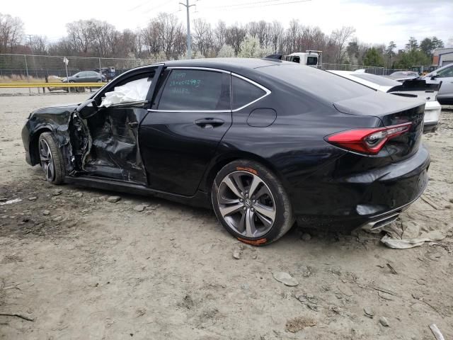 2021 Acura TLX Advance