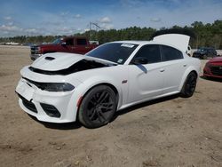 Salvage cars for sale at auction: 2023 Dodge Charger Scat Pack