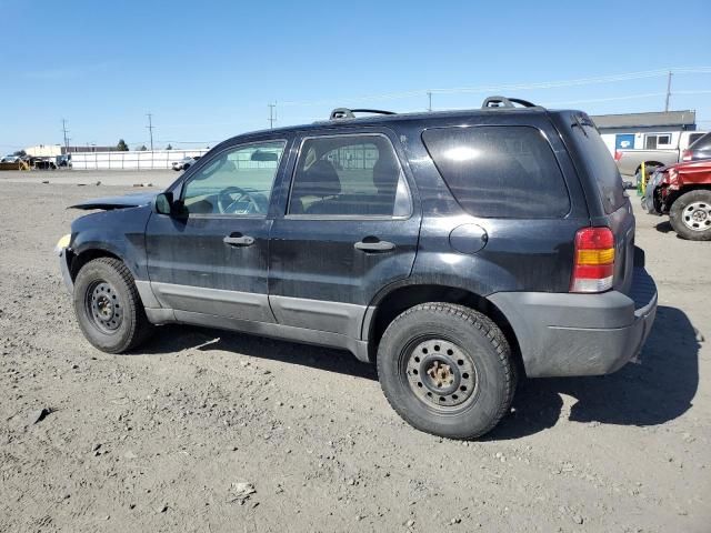 2007 Ford Escape XLT