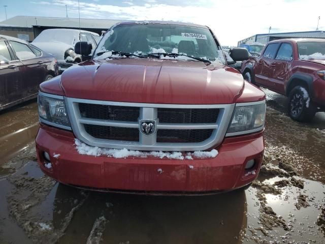 2010 Dodge Dakota SXT