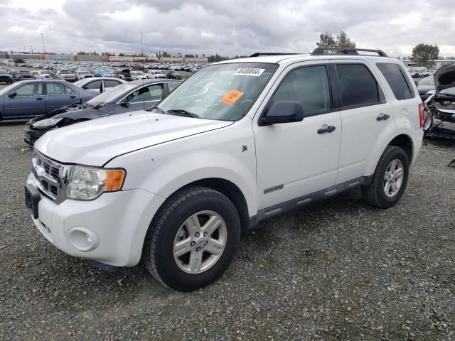 2008 Ford Escape HEV