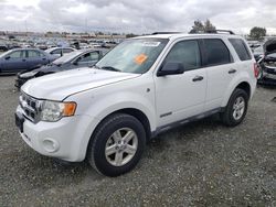 Ford salvage cars for sale: 2008 Ford Escape HEV