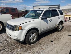 Ford Escape XLT salvage cars for sale: 2012 Ford Escape XLT