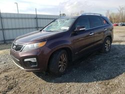 Salvage cars for sale at Lumberton, NC auction: 2012 KIA Sorento SX