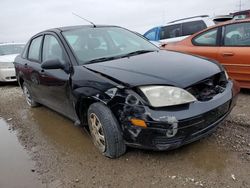 Ford Focus zx4 salvage cars for sale: 2005 Ford Focus ZX4