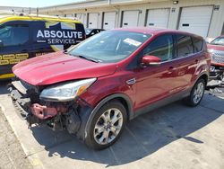 Salvage cars for sale at Louisville, KY auction: 2013 Ford Escape SEL