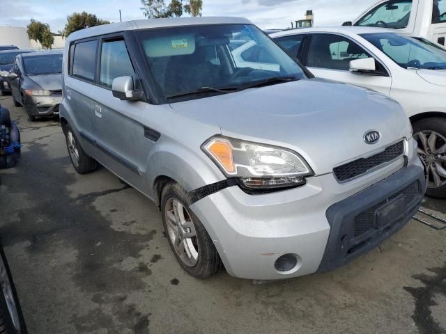 2010 KIA Soul +