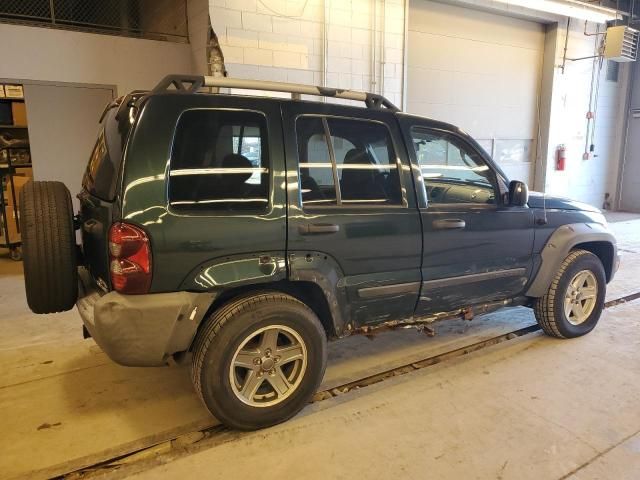 2006 Jeep Liberty Renegade