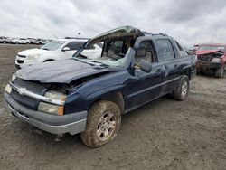 Salvage cars for sale from Copart Earlington, KY: 2005 Chevrolet Avalanche C1500