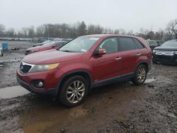 Salvage cars for sale from Copart Chalfont, PA: 2011 KIA Sorento EX