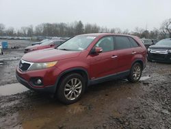 KIA Sorento EX salvage cars for sale: 2011 KIA Sorento EX