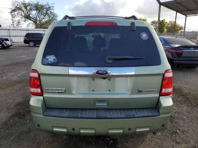 2010 Ford Escape Hybrid