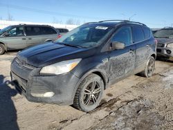 Ford Escape se Vehiculos salvage en venta: 2013 Ford Escape SE