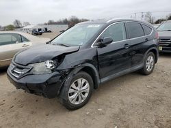 Salvage SUVs for sale at auction: 2013 Honda CR-V EXL