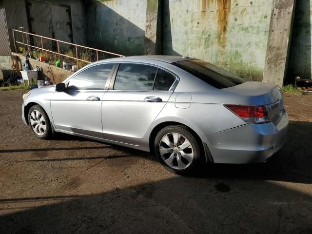 2010 Honda Accord EXL