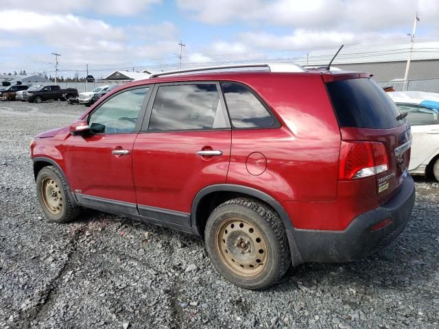 2011 KIA Sorento Base