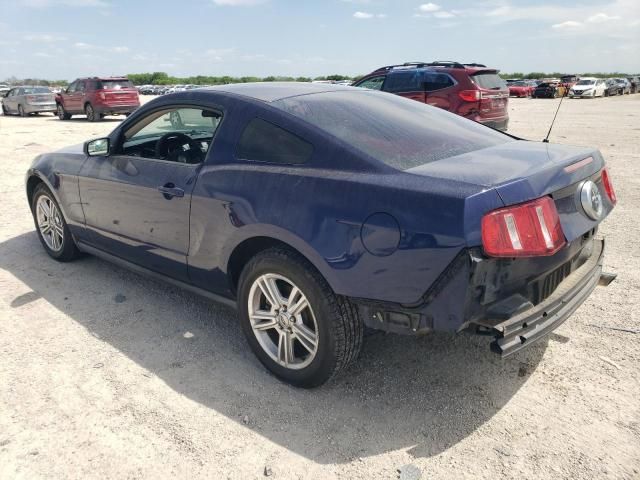 2010 Ford Mustang