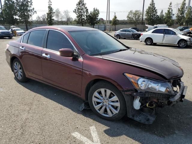 2011 Honda Accord EXL