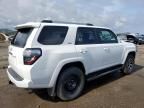 2024 Toyota 4runner SR5/SR5 Premium