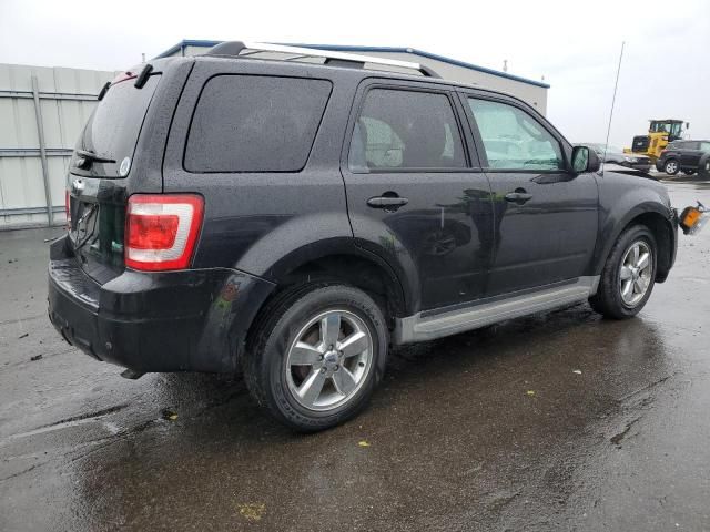 2011 Ford Escape Limited