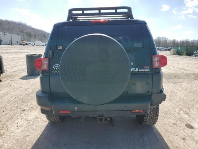 2007 Toyota FJ Cruiser