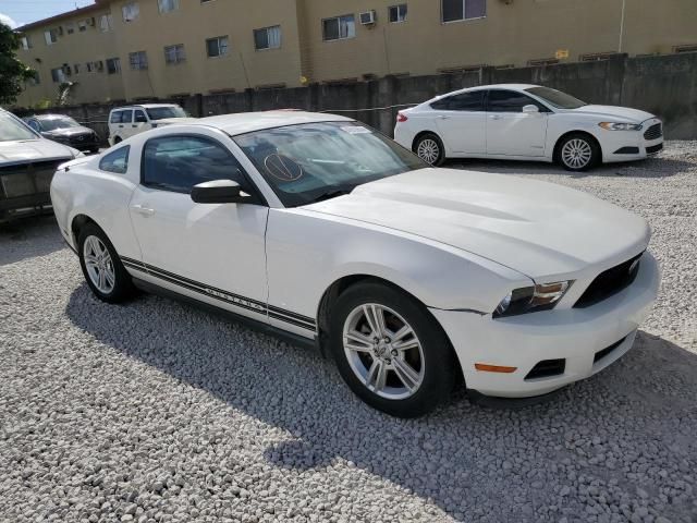 2010 Ford Mustang