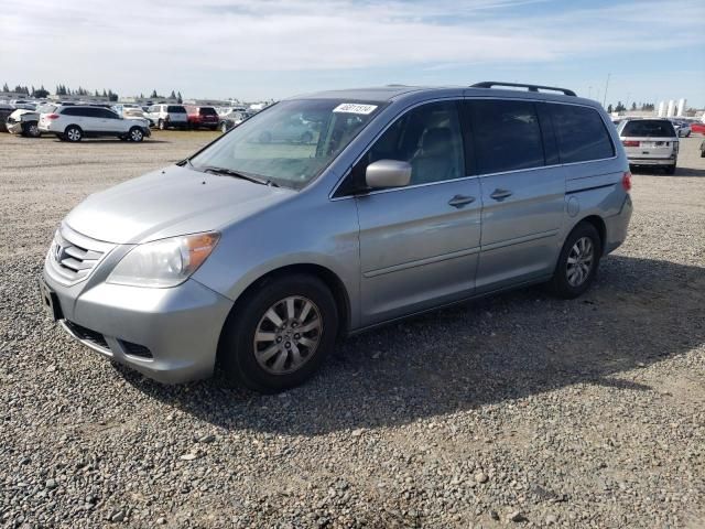 2009 Honda Odyssey EXL