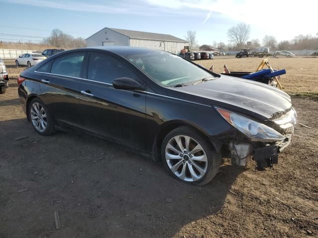 2013 Hyundai Sonata SE