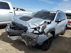 Vehiculos salvage en venta de Copart Brighton, CO: 2023 Subaru Forester Wilderness