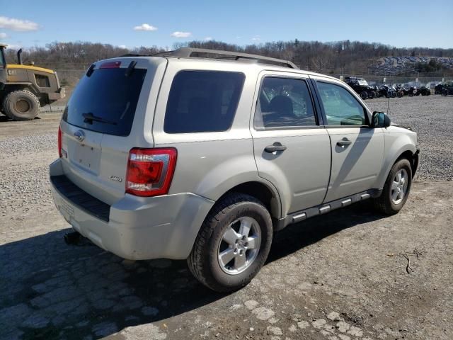 2009 Ford Escape XLT