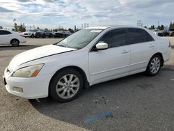 Salvage cars for sale from Copart Rancho Cucamonga, CA: 2007 Honda Accord EX