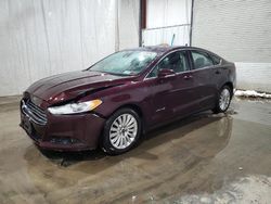 Salvage cars for sale from Copart Central Square, NY: 2013 Ford Fusion SE Hybrid