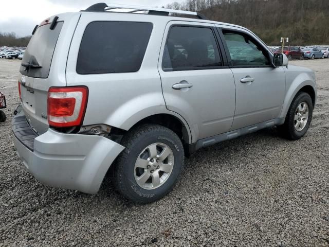 2010 Ford Escape Limited