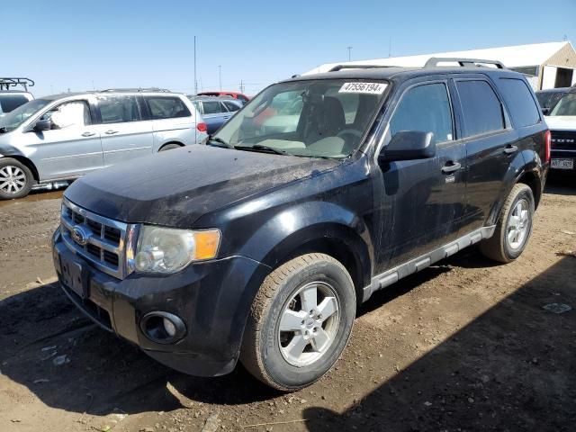 2012 Ford Escape XLT