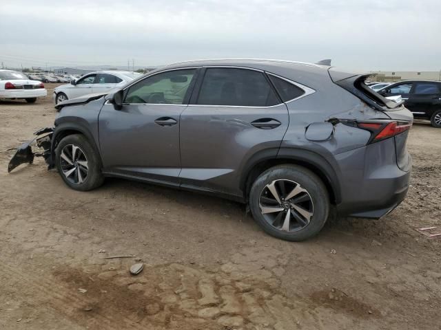 2021 Lexus NX 300 Base