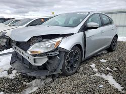 Ford Focus SE salvage cars for sale: 2014 Ford Focus SE