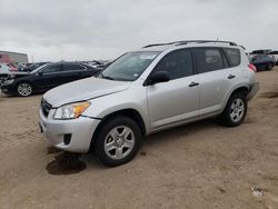 Salvage cars for sale at Amarillo, TX auction: 2010 Toyota Rav4