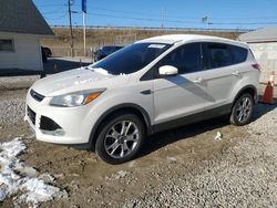 Salvage cars for sale from Copart Northfield, OH: 2013 Ford Escape SEL