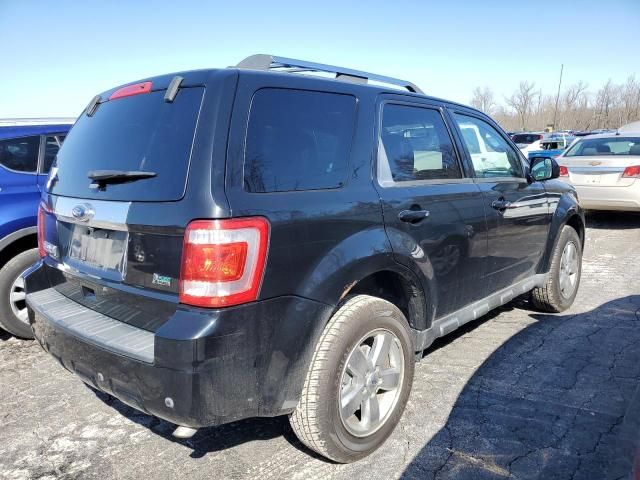 2010 Ford Escape Limited