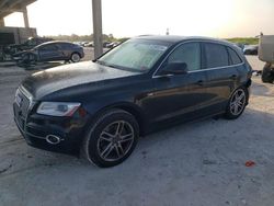 Salvage cars for sale from Copart West Palm Beach, FL: 2014 Audi Q5 Premium Plus