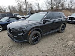 Salvage cars for sale at Marlboro, NY auction: 2024 Honda CR-V SPORT-L